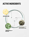 Roll-On Deodorant – Icelandic Moss Extract, Sage Complex