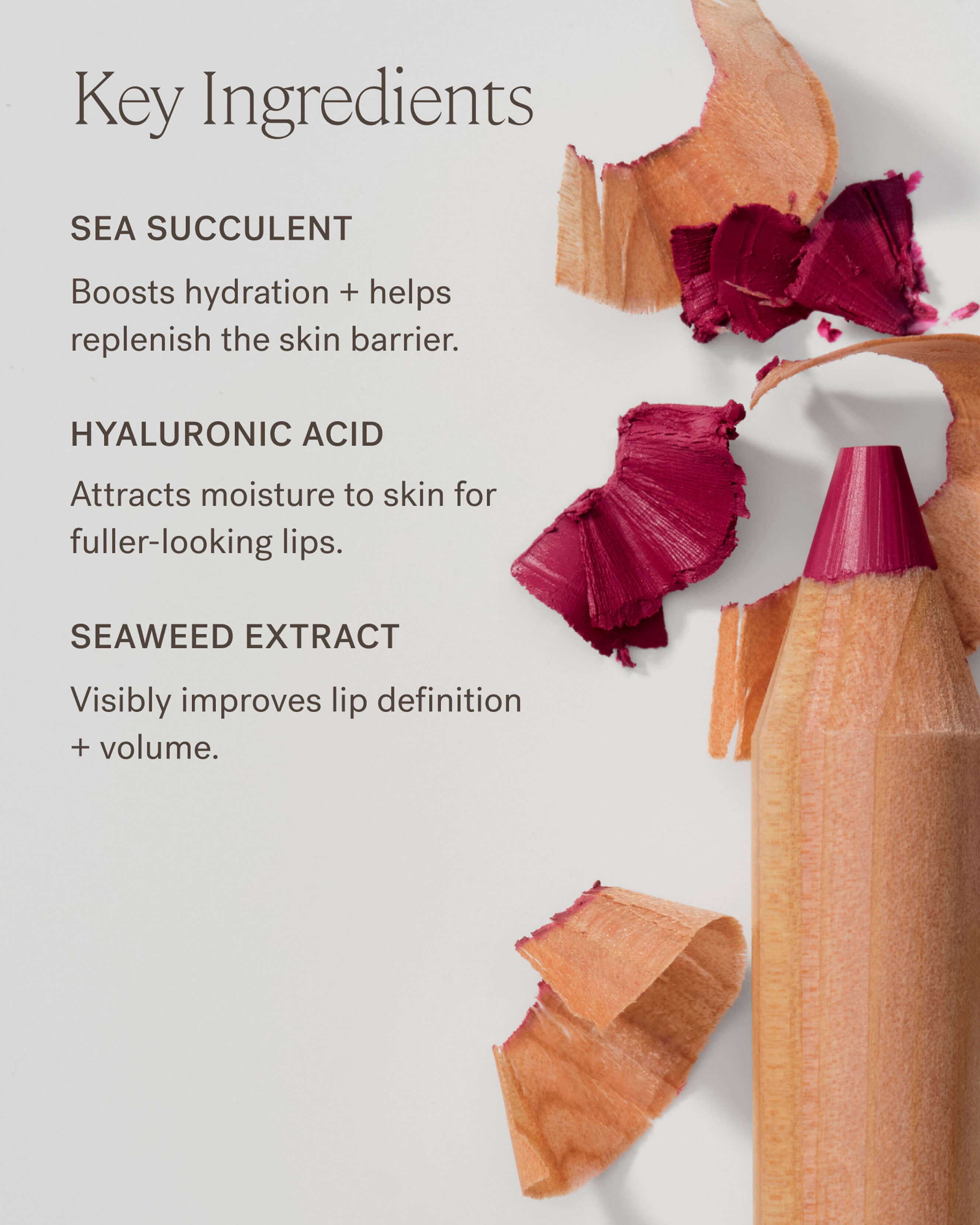 The Mini Lip Sketch Duo