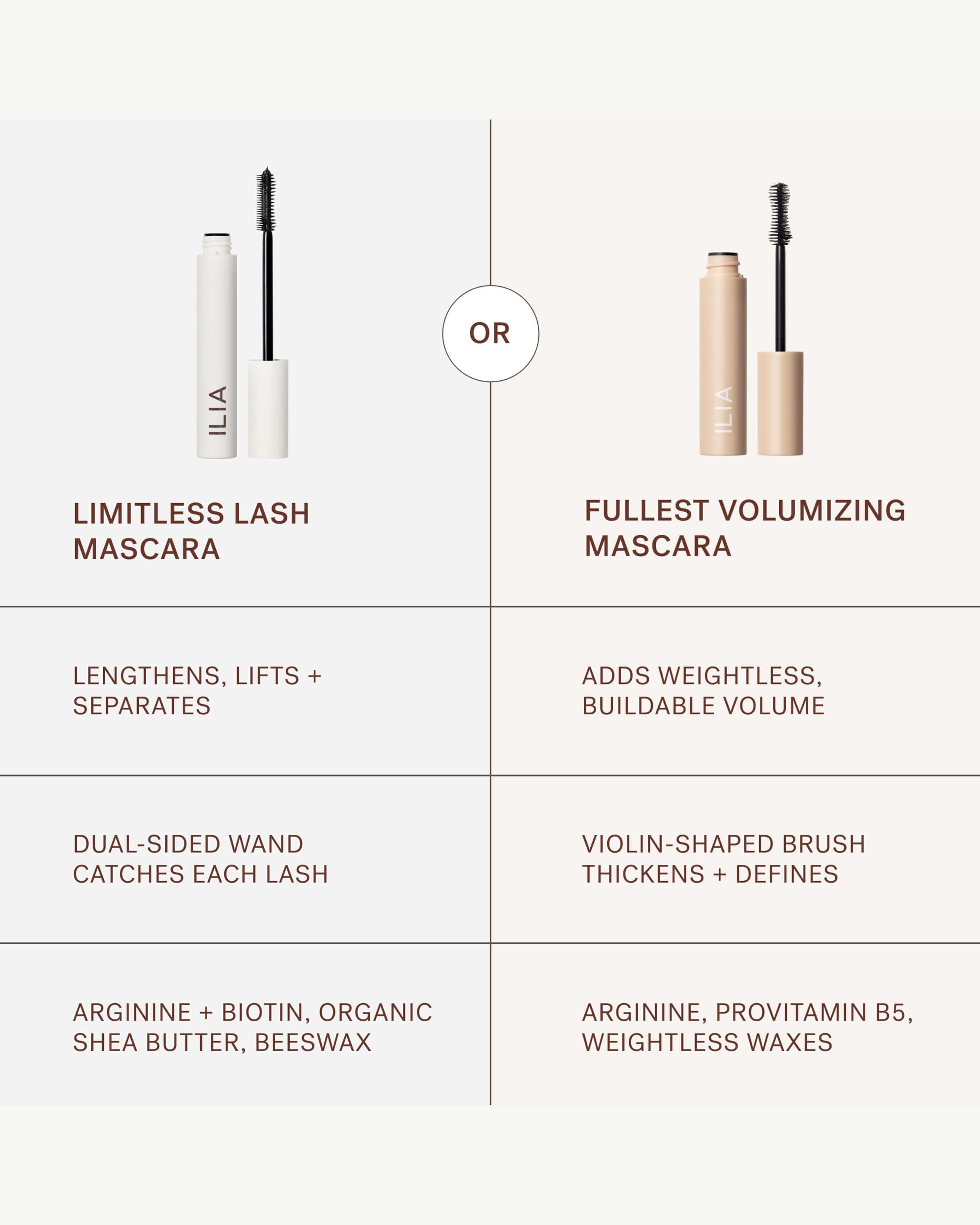 The Lash Duo – Credo