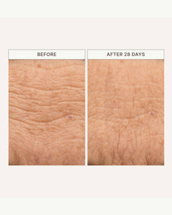 Barrier Build Skin Protectant Cream