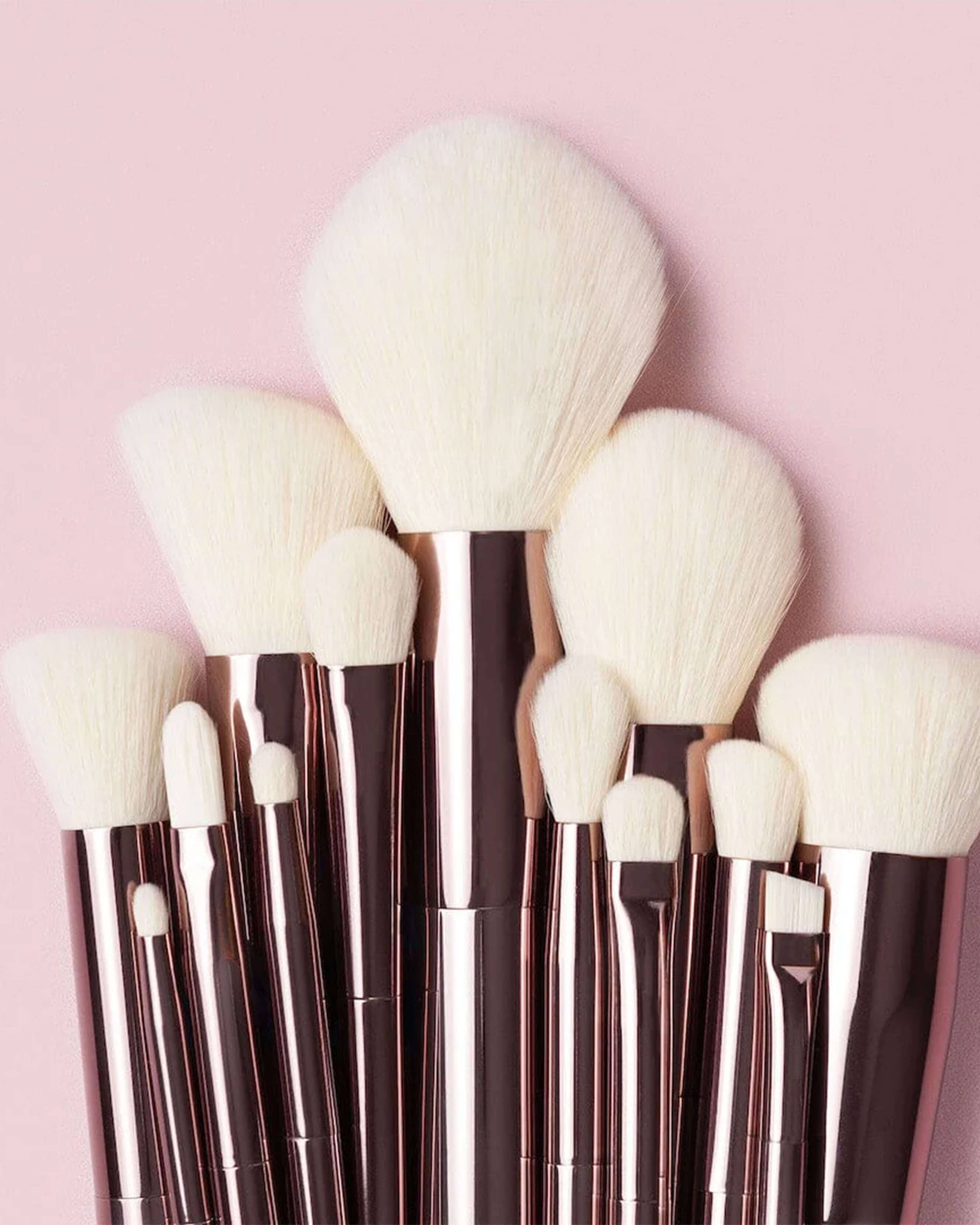 Sustainable Luxury Cheek Brush