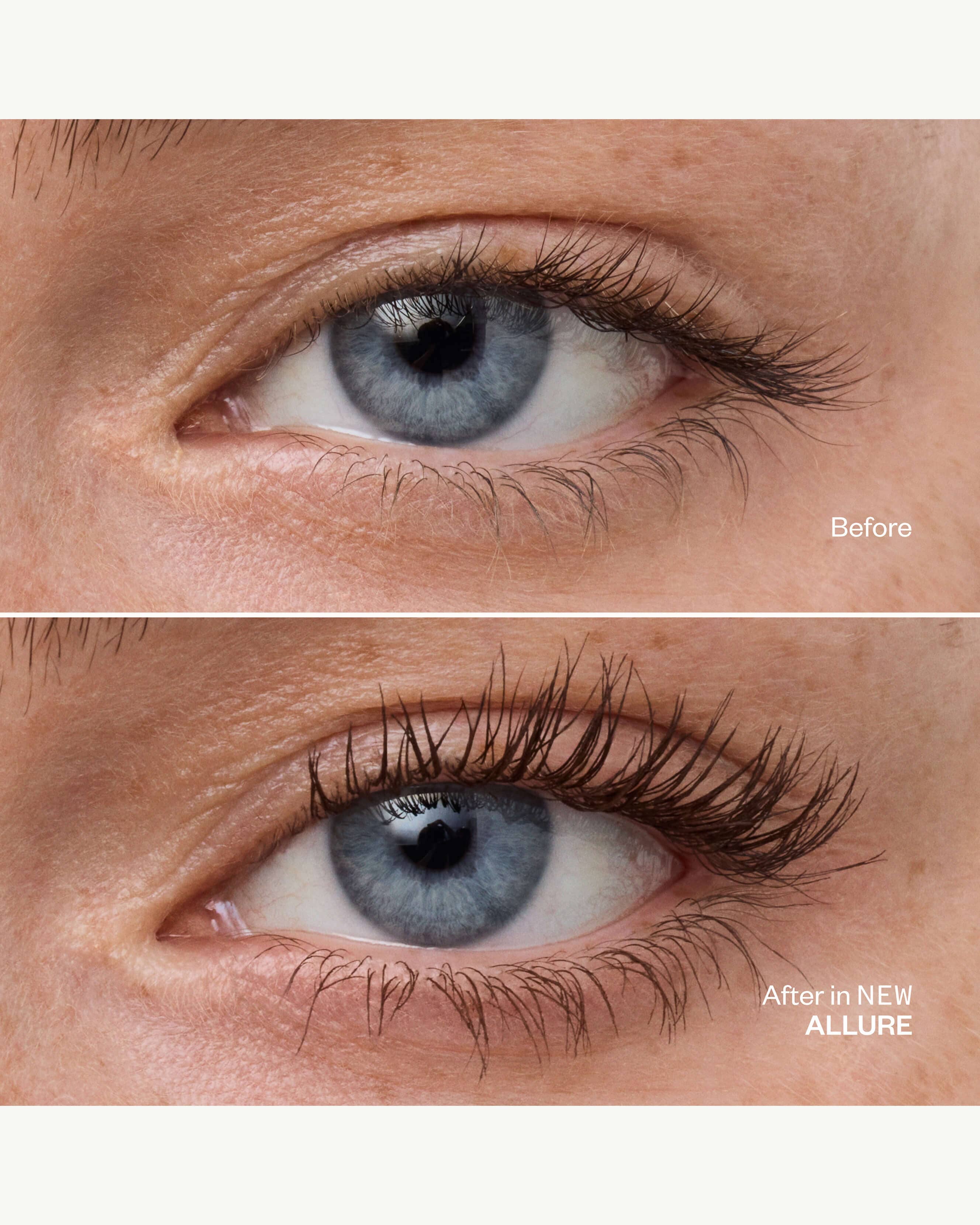 Standard Size: Allure (Dark Brown)