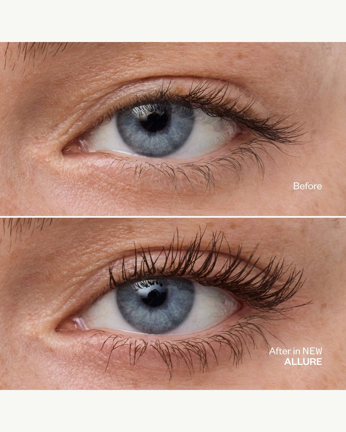 Standard Size: Allure (Dark Brown)