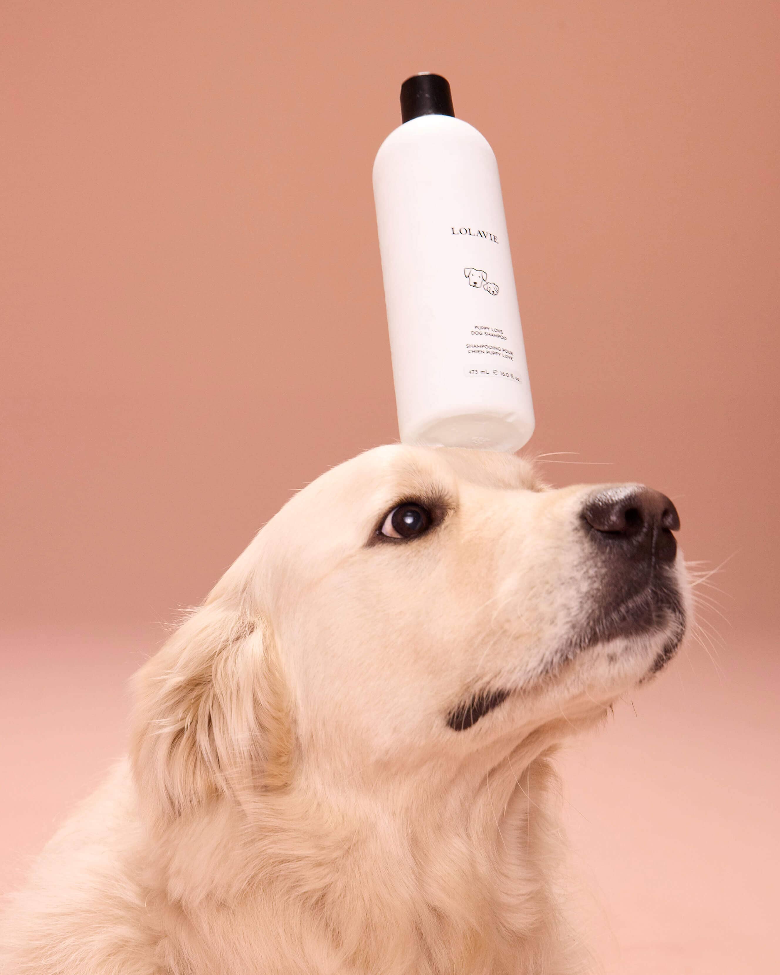 Puppy Love Dog Shampoo