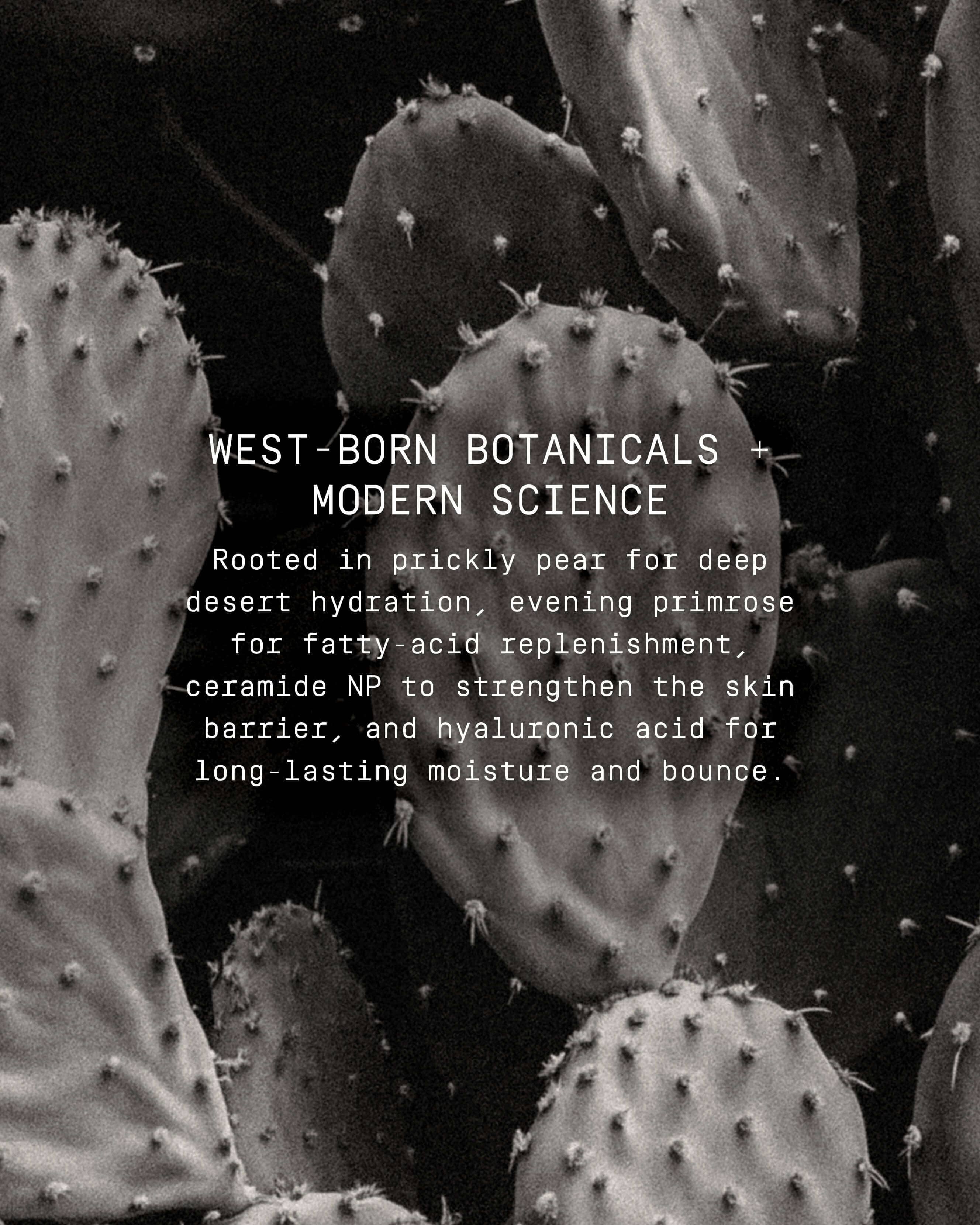 Cactus Silk Prickly Pear Oil + Serum Skin Revival
