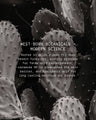 Cactus Silk Prickly Pear Barrier-Boosting Oil + Serum Skin Finish