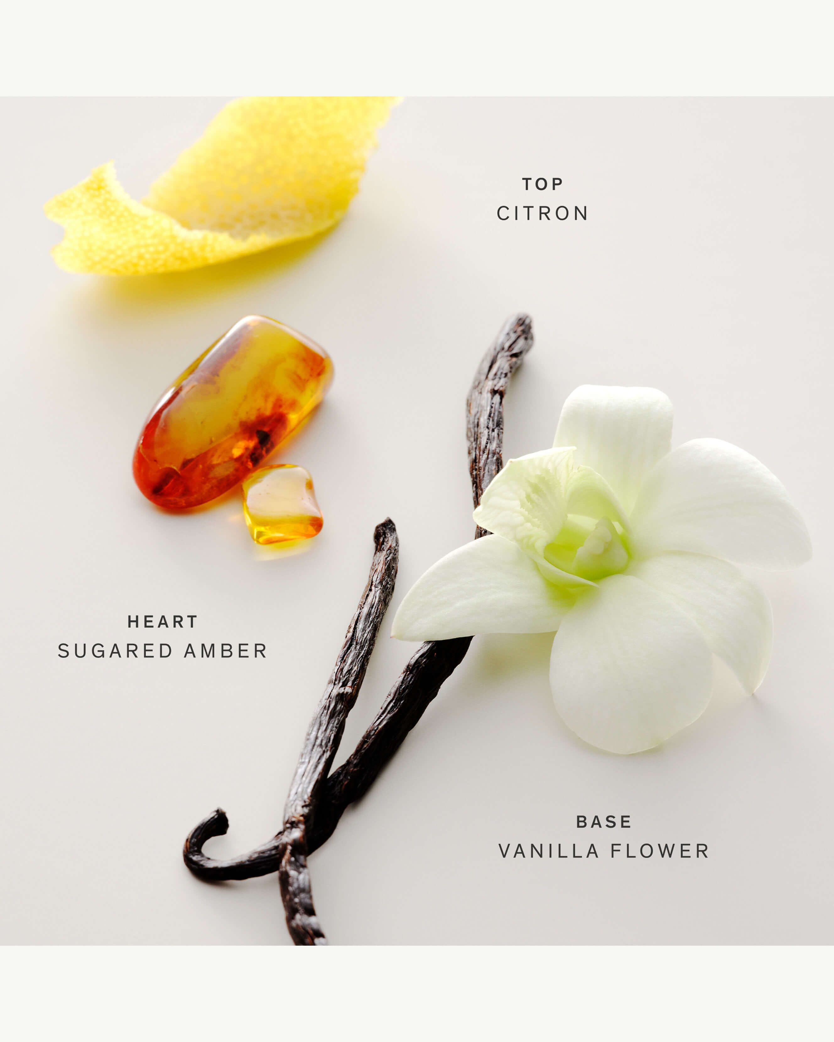 No.15 Vanille Infinie Perfume Oil