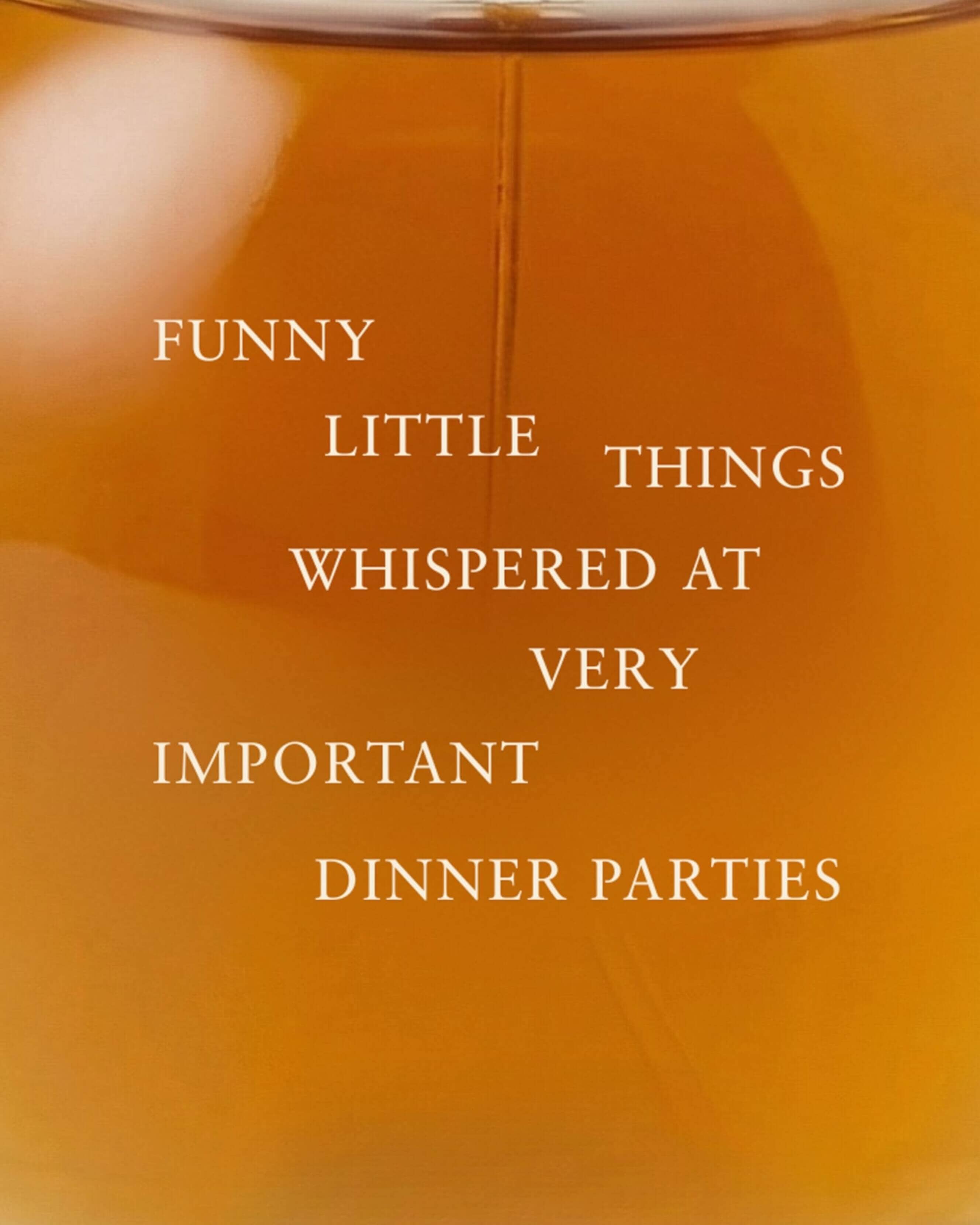Funny Little Things Whispered at Very Important Dinner Parties Eau de Parfum