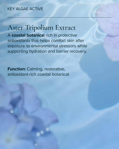 Mineral Sunscreen Serum SPF 30 PA+++ with Algae + Zinc