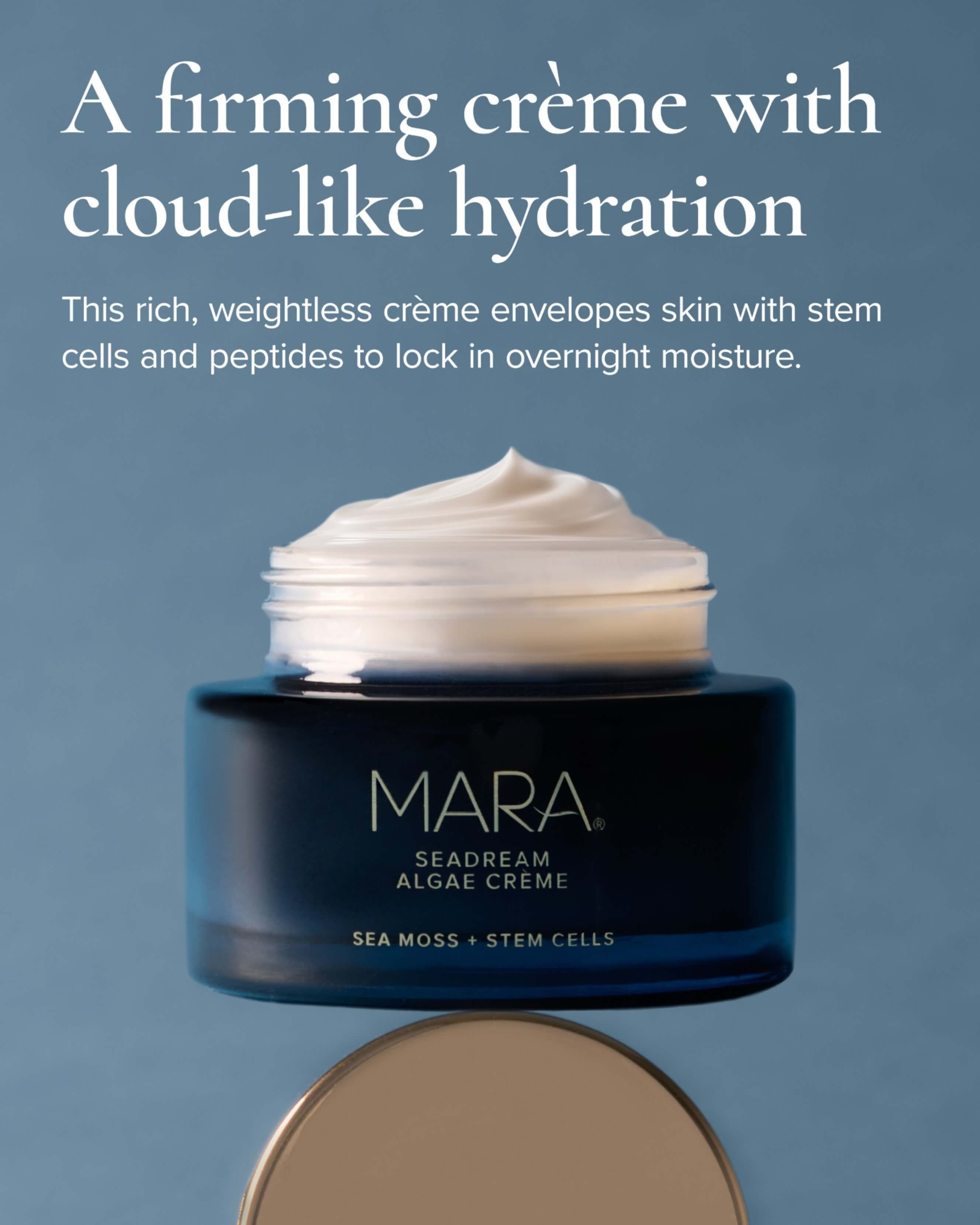 SeaDream Algae Creme Moisturizer for Firming & Tightening with Sea
