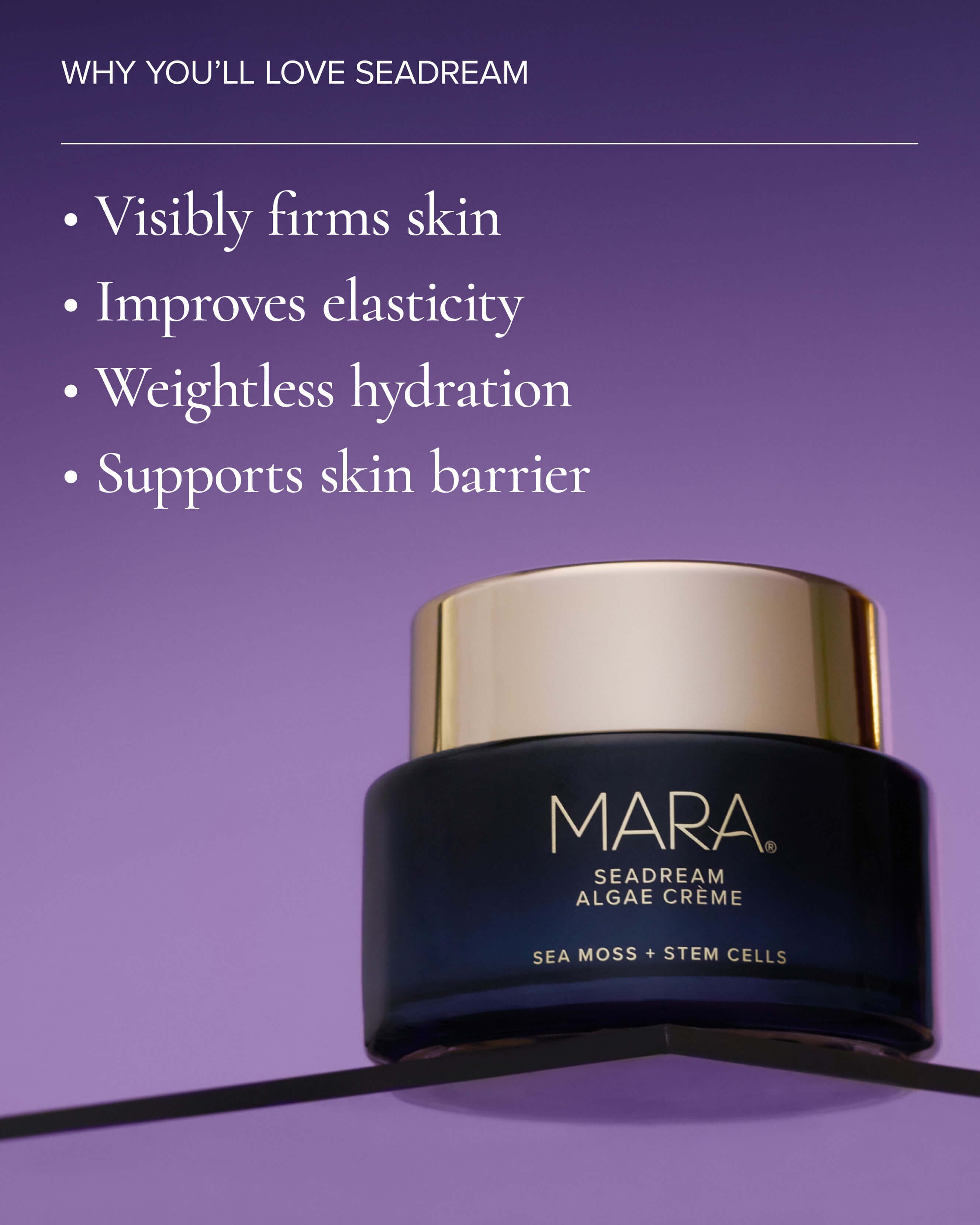 SeaDream Algae Creme Moisturizer for Firming & Tightening with Sea Moss + Peptides