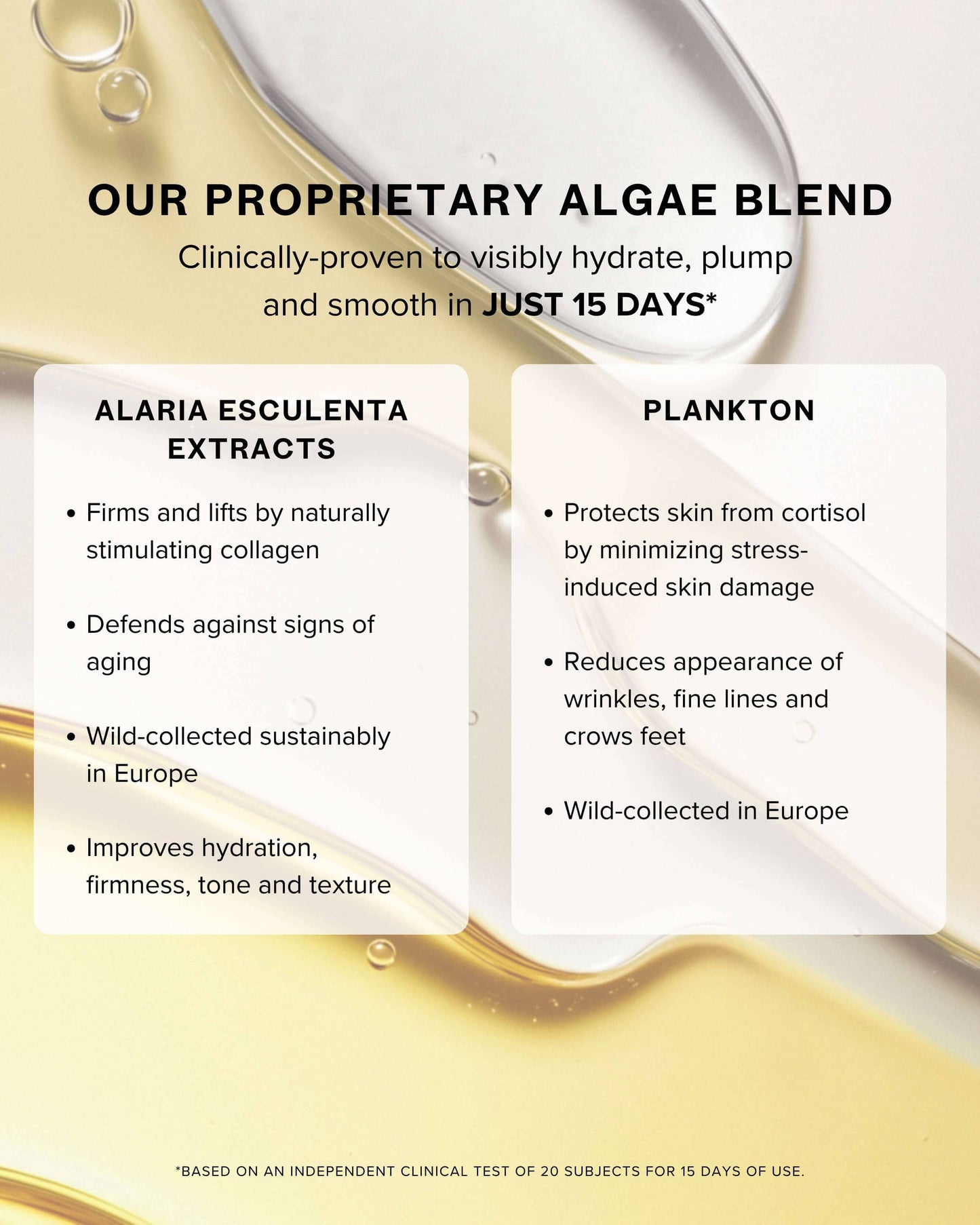 SeaDream Algae Creme Moisturizer for Firming & Tightening with Sea Moss + Peptides