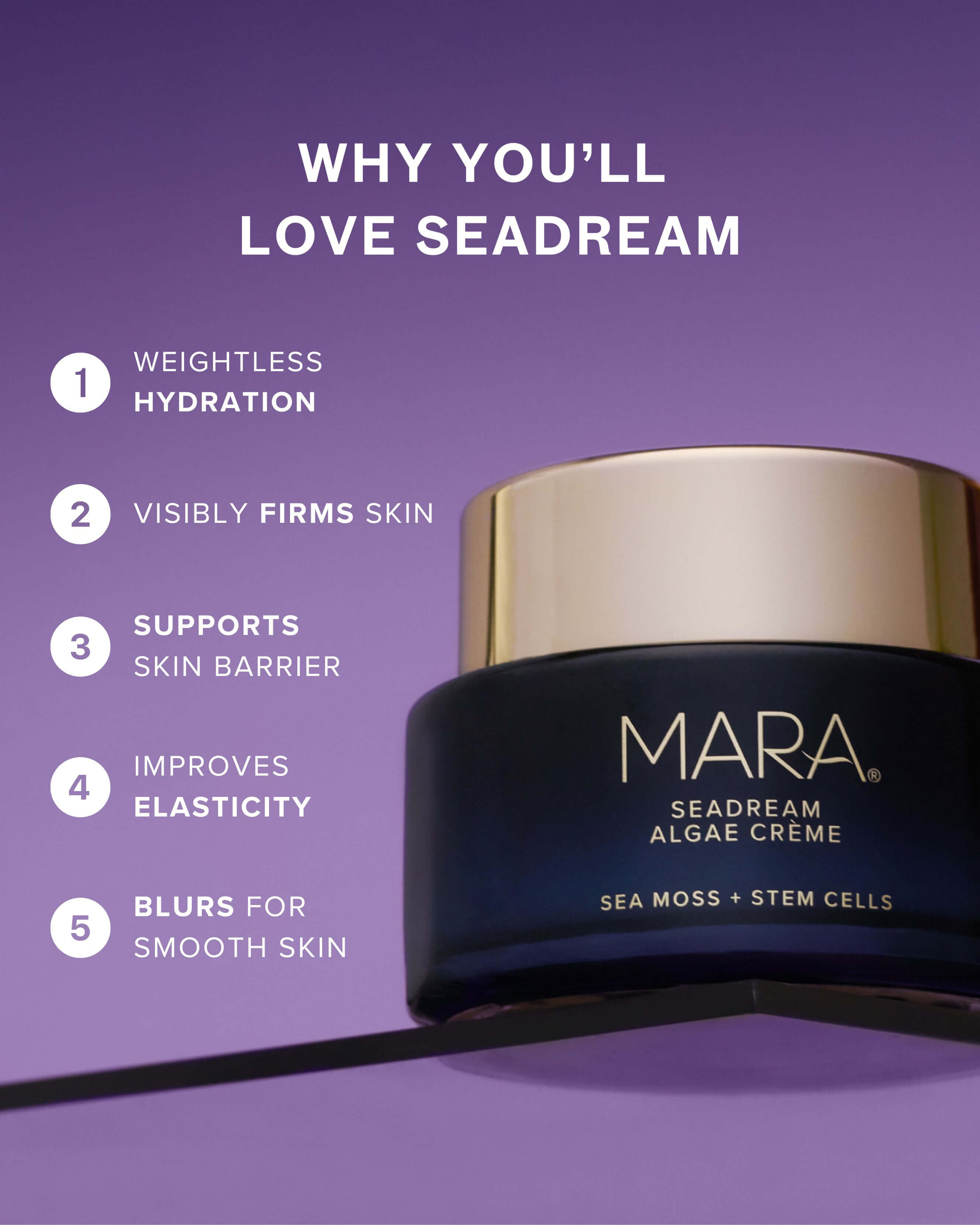 SeaDream Algae Creme Moisturizer for Firming & Tightening with Sea Moss + Peptides