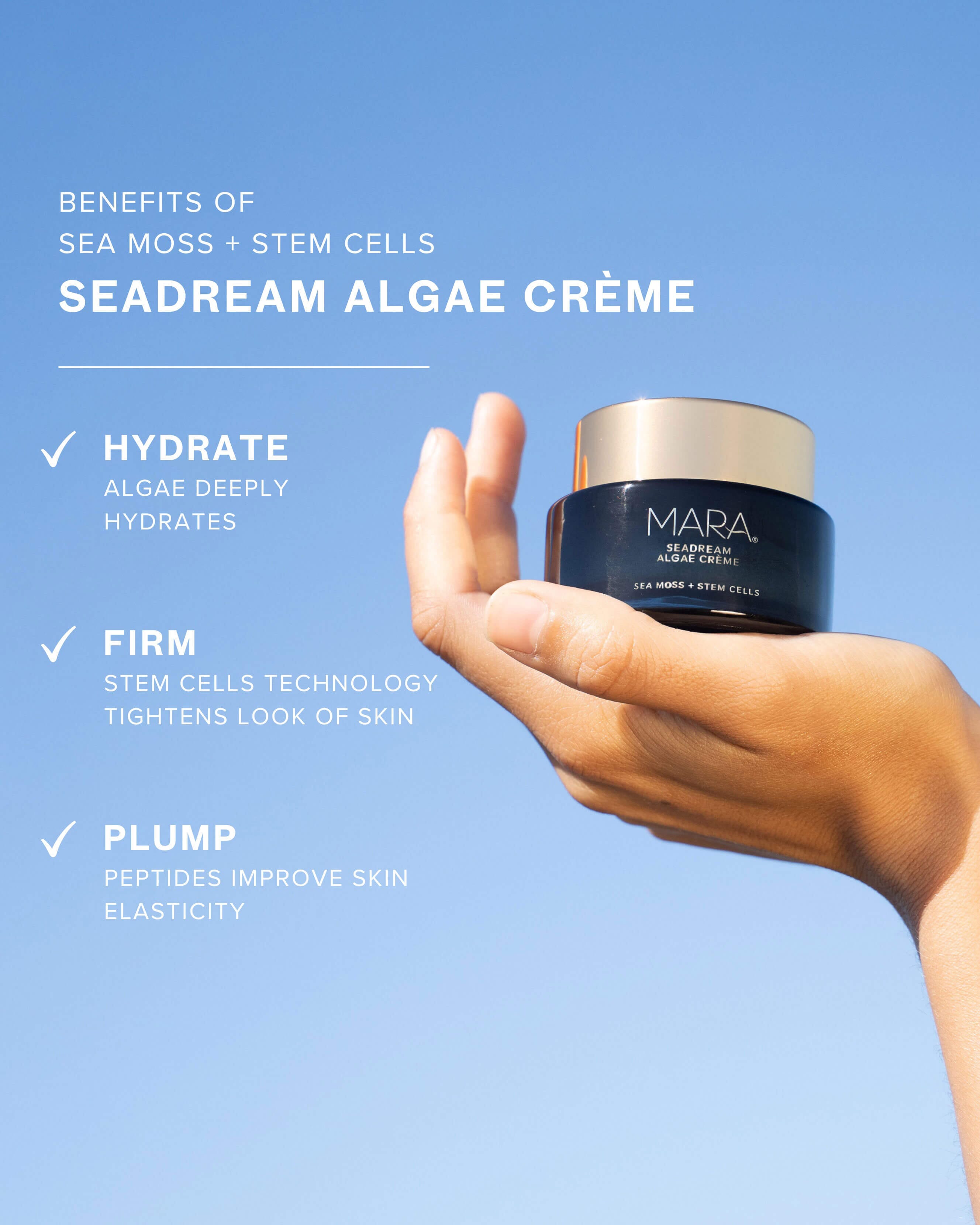 SeaDream Algae Creme Moisturizer for Firming & Tightening with Sea Moss + Peptides