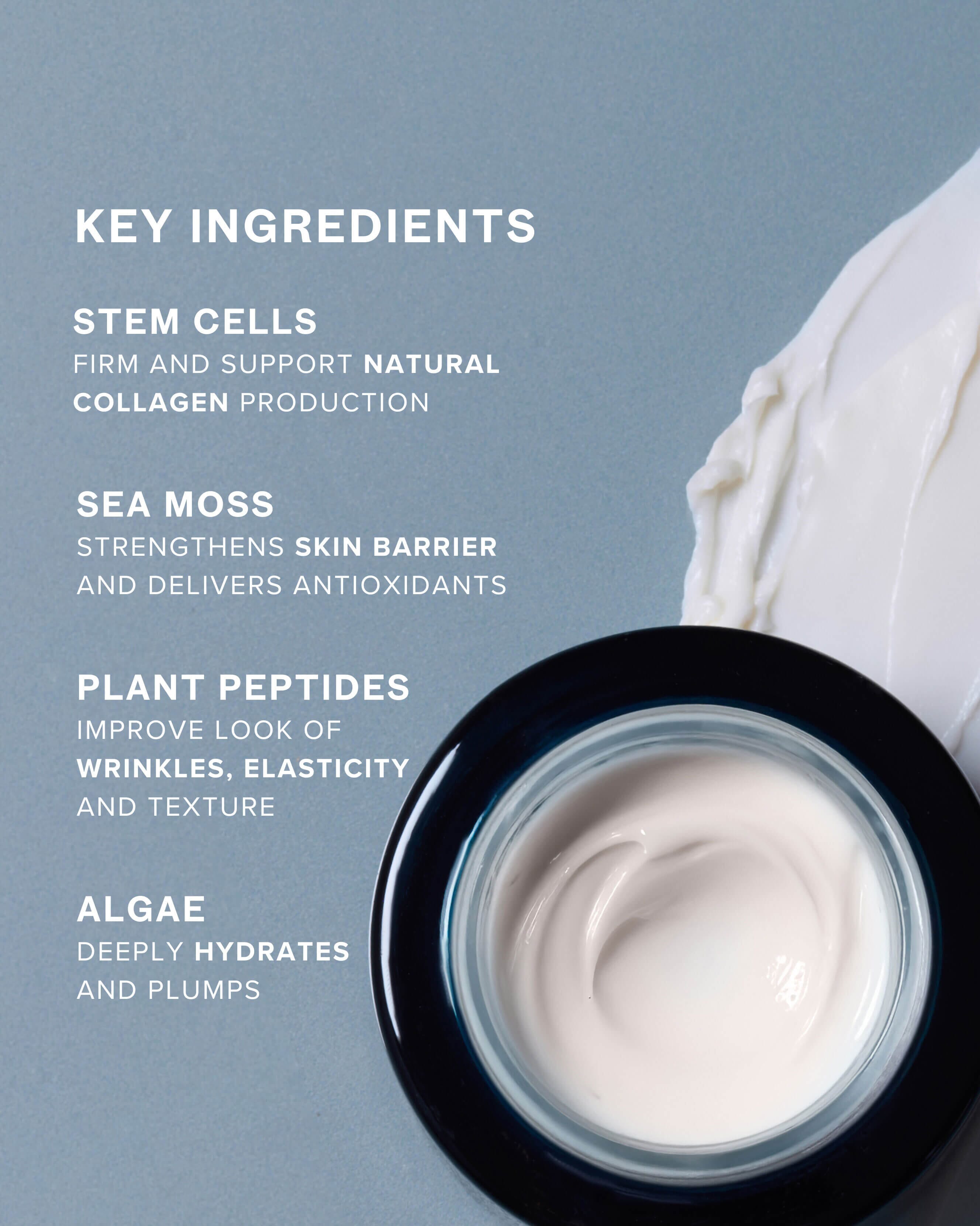 SeaDream Algae Creme Moisturizer for Firming & Tightening with Sea Moss + Peptides