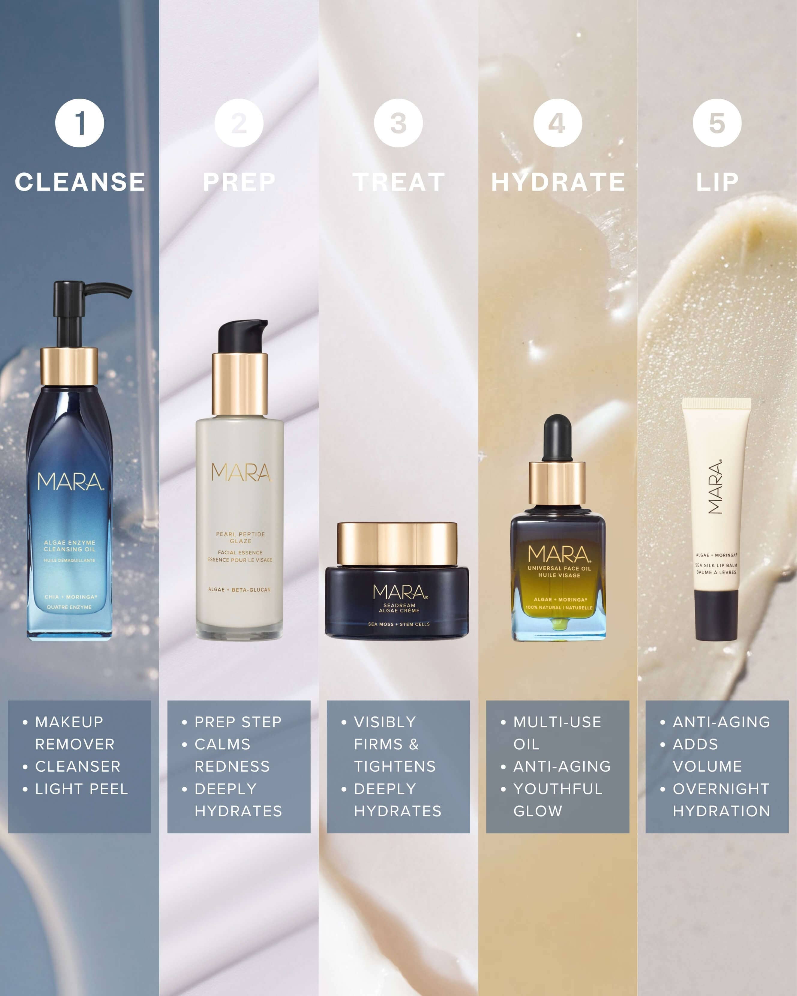 SeaDream Algae Creme Moisturizer for Firming & Tightening with Sea Moss + Peptides