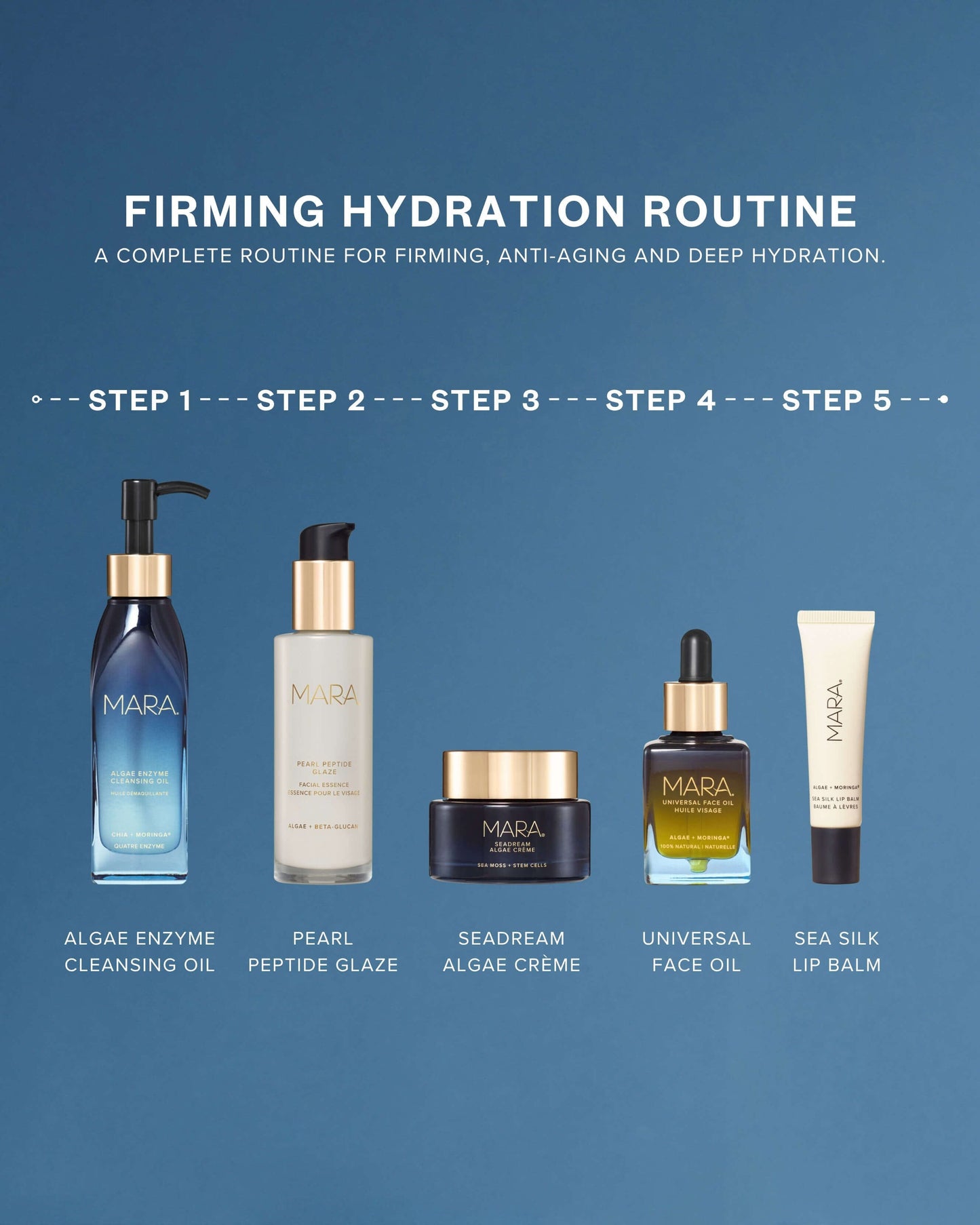 SeaDream Algae Creme Moisturizer for Firming & Tightening with Sea Moss + Peptides