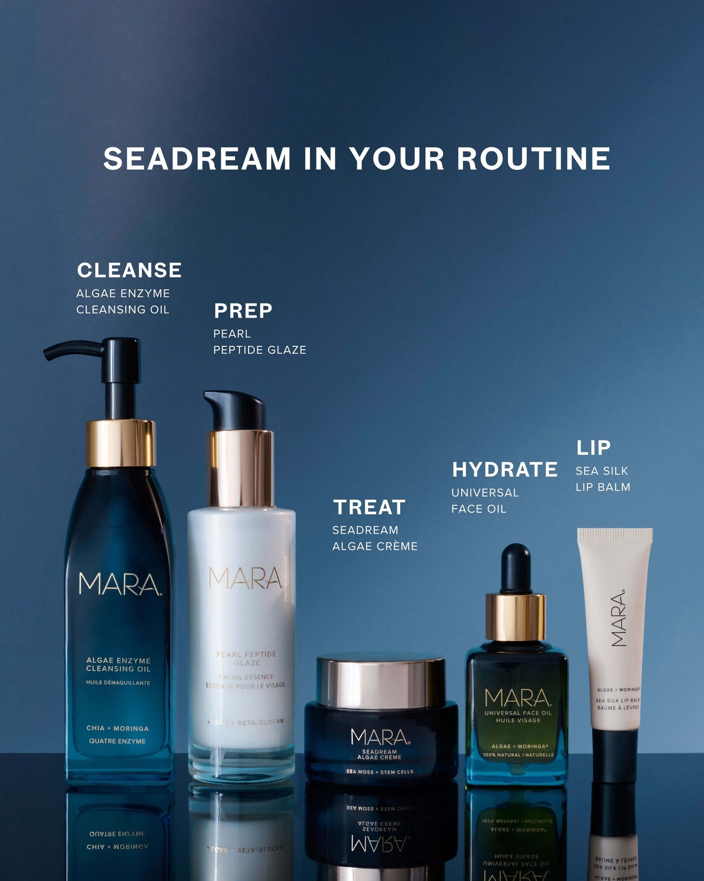 SeaDream Algae Creme Moisturizer for Firming & Tightening with Sea Moss + Peptides