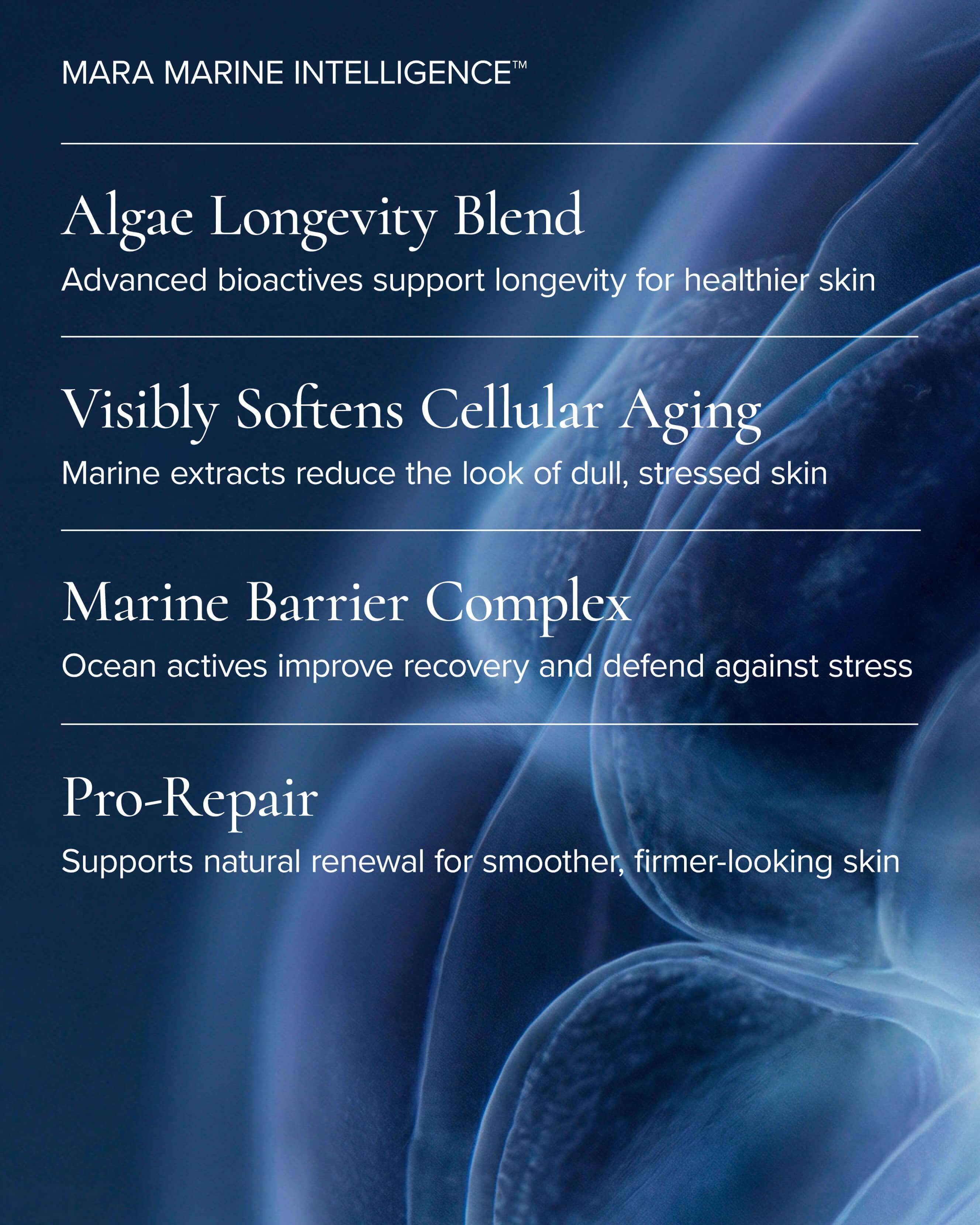 Sea Sculpt Body Oil for Firmness & Cellulite with Algae + Moringa