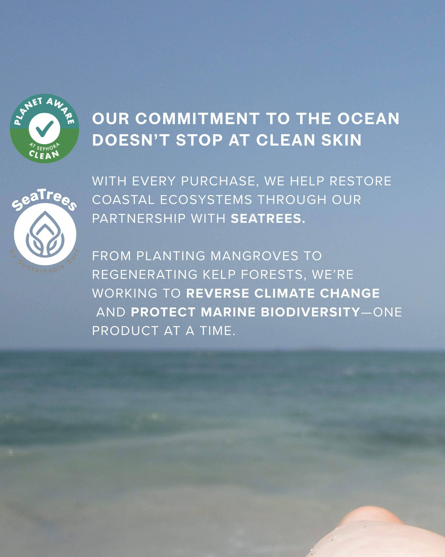 Sea Sculpt Body Oil for Firmness & Cellulite with Algae + Moringa