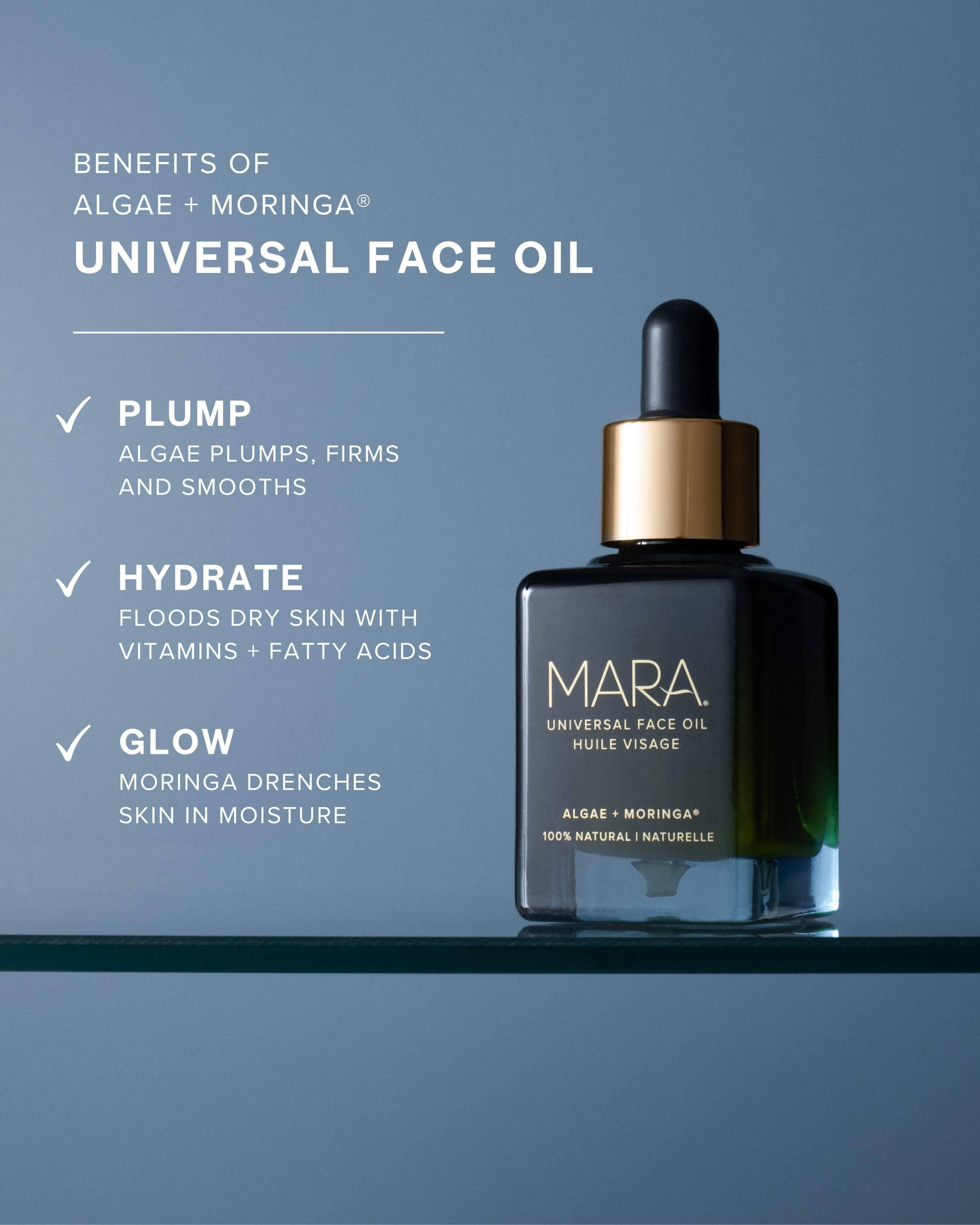 Universal Hydrating Face Oil for Anti-Aging and Glow with Algae + Moringa