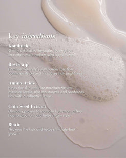 The Power Fol Advanced Scalp and Hair Treatment Shampoo