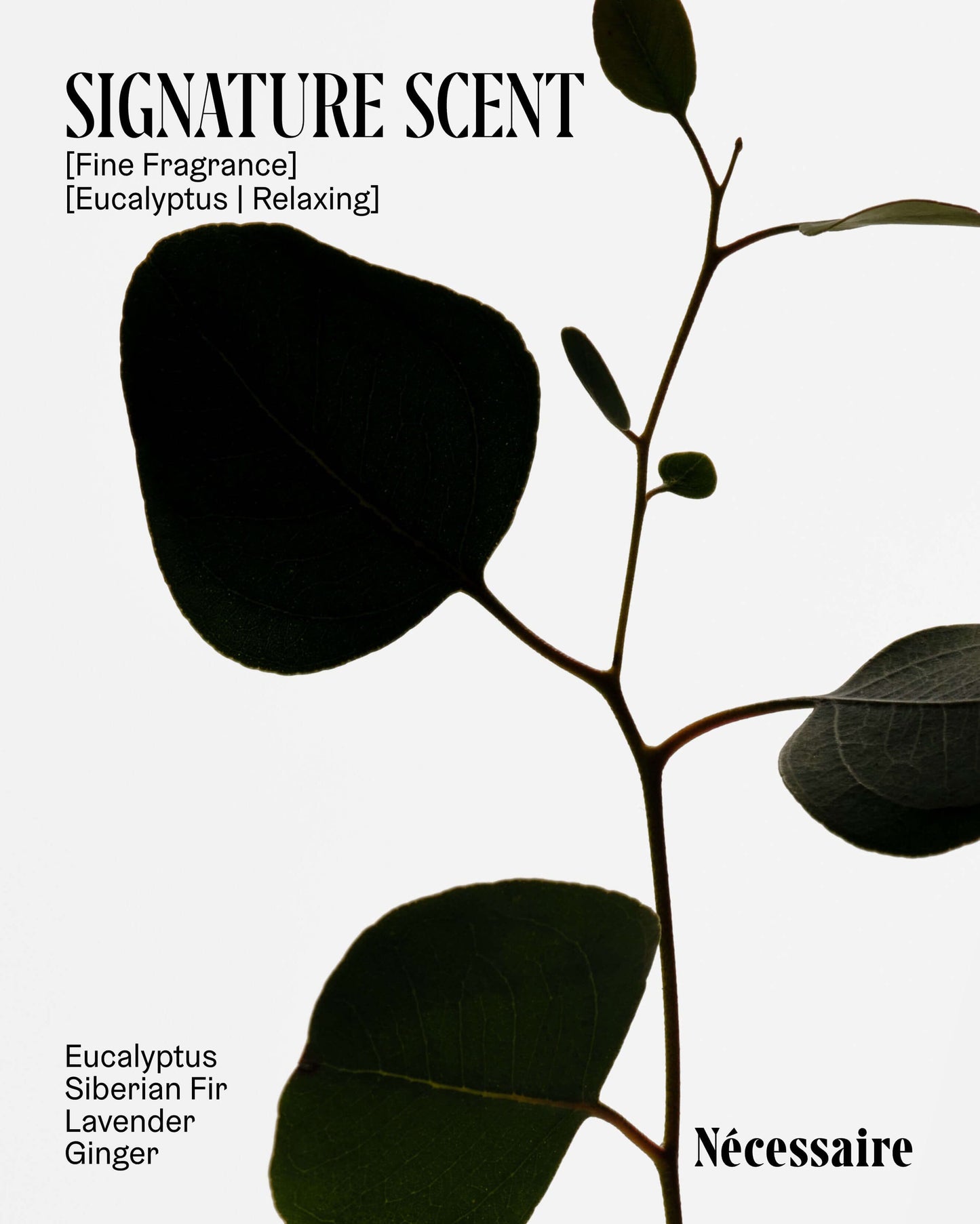 The Body Wash Collection