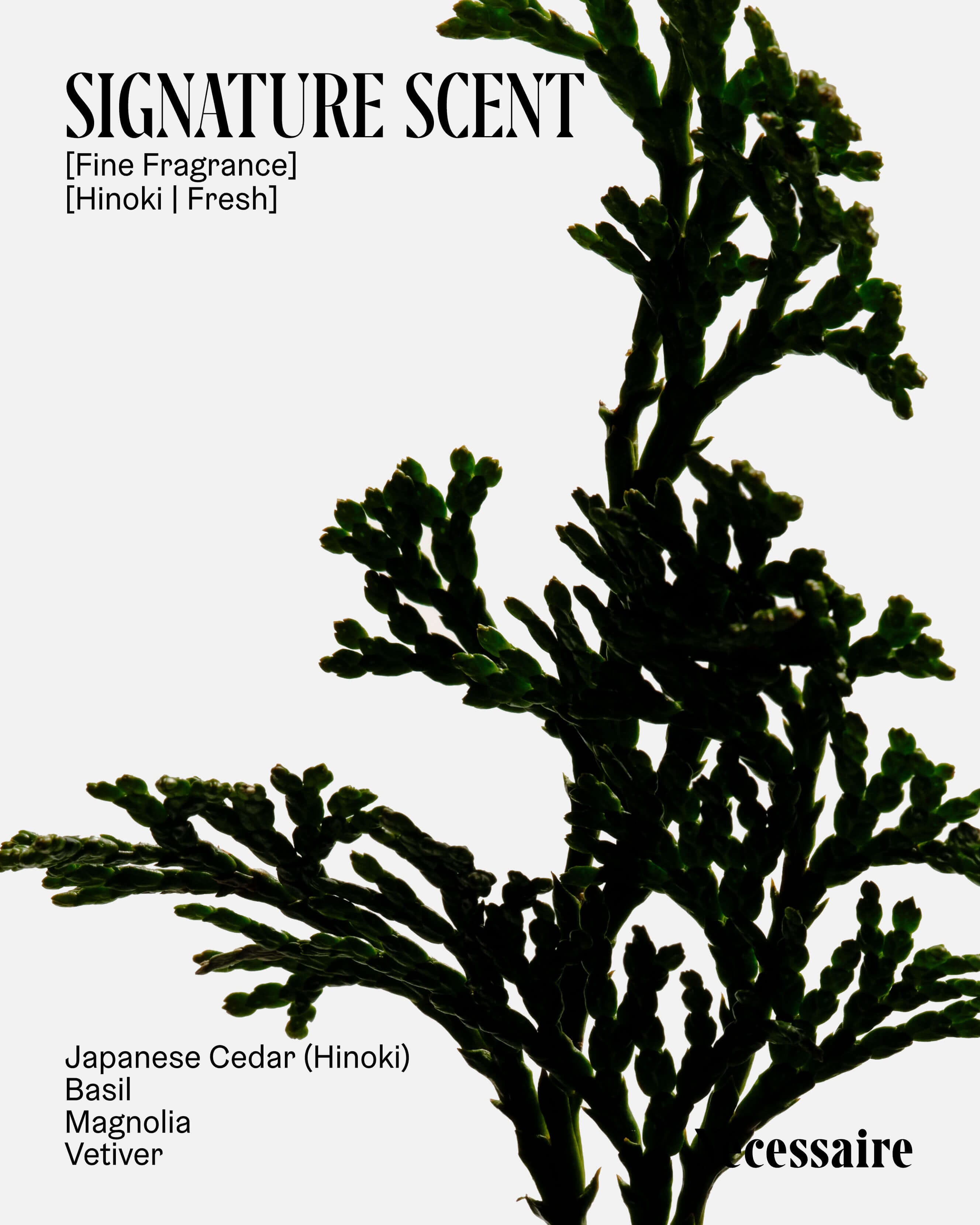 The Body Wash Collection