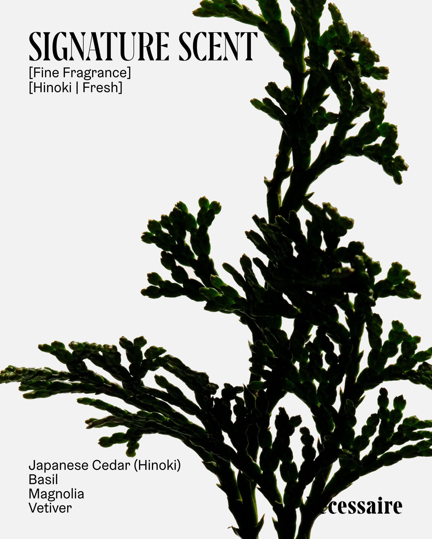 The Body Wash Collection