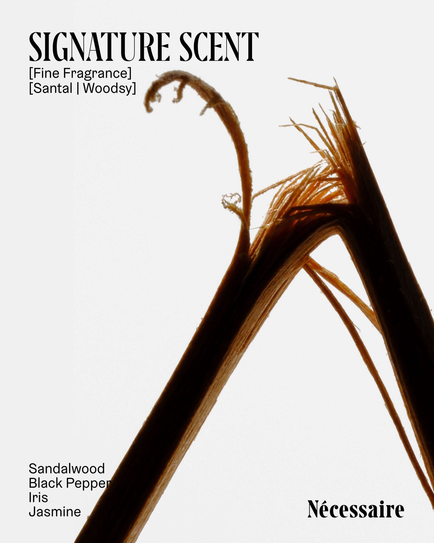 The Body Wash Collection