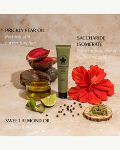 Hand Cream Trio