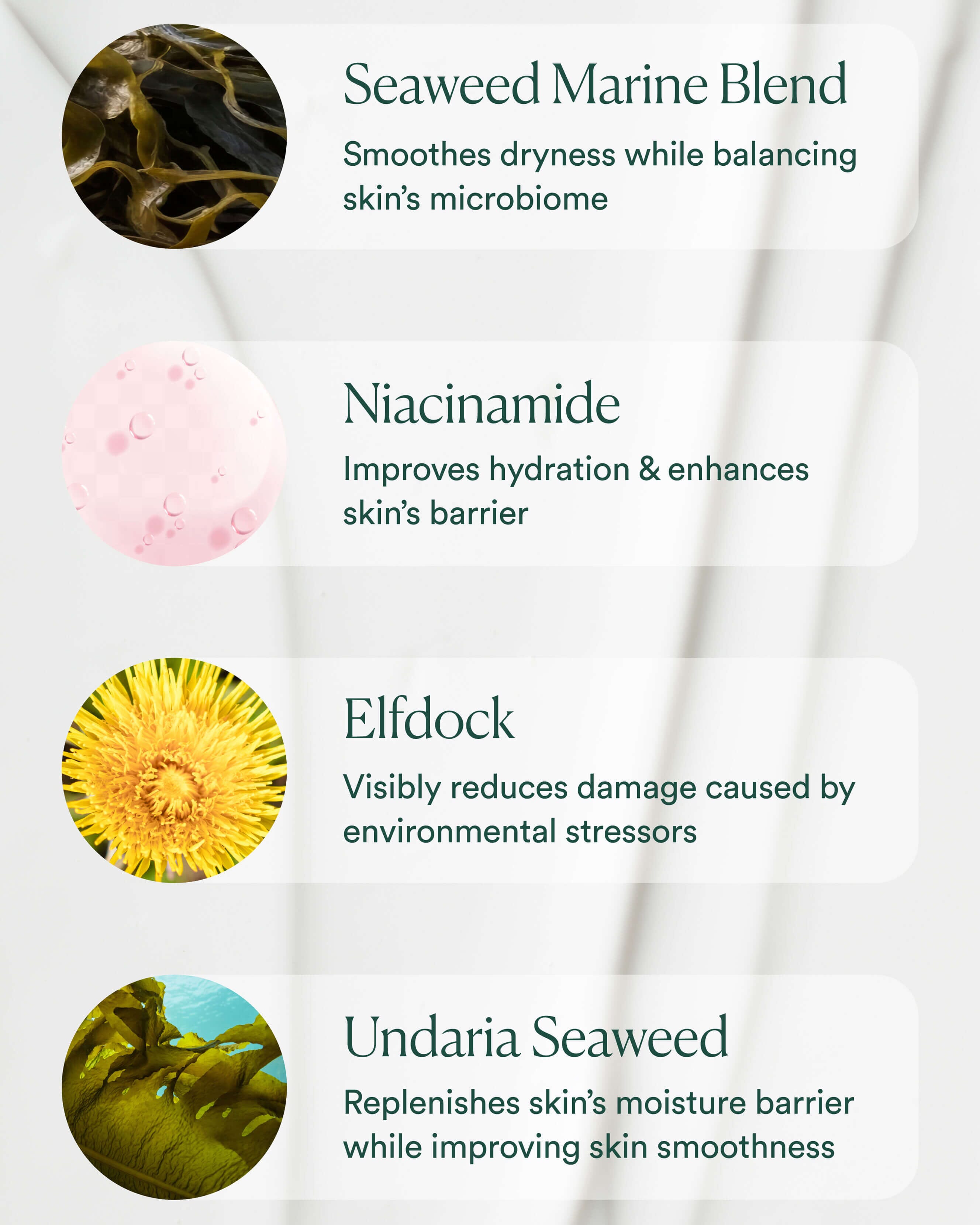 Atmosphere Protection Cream