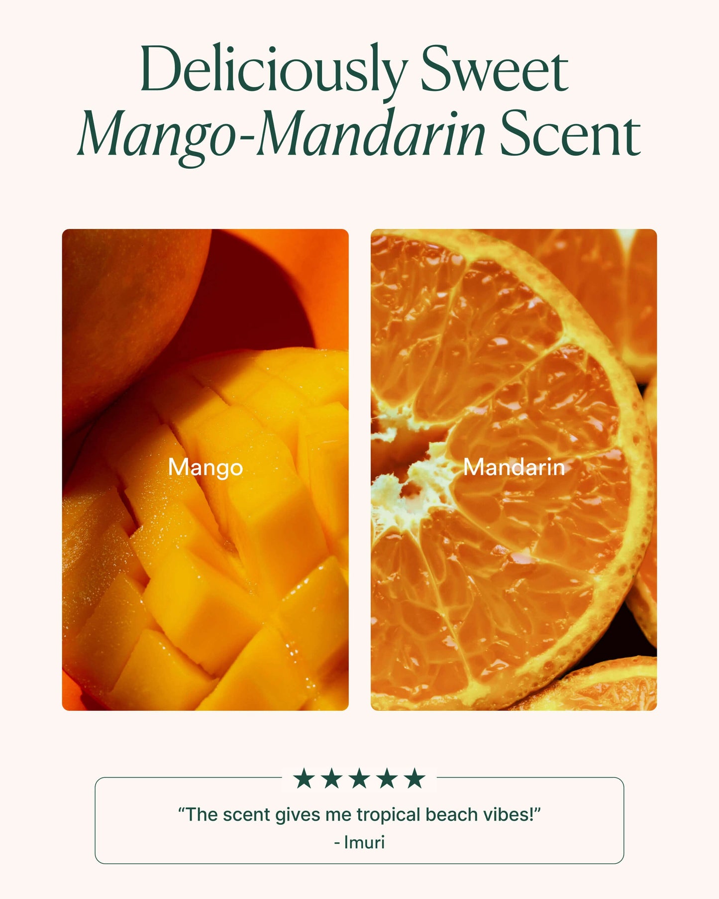 Hyaluronic Acid Lip Booster