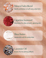 Salts of the Earth Body Scrub