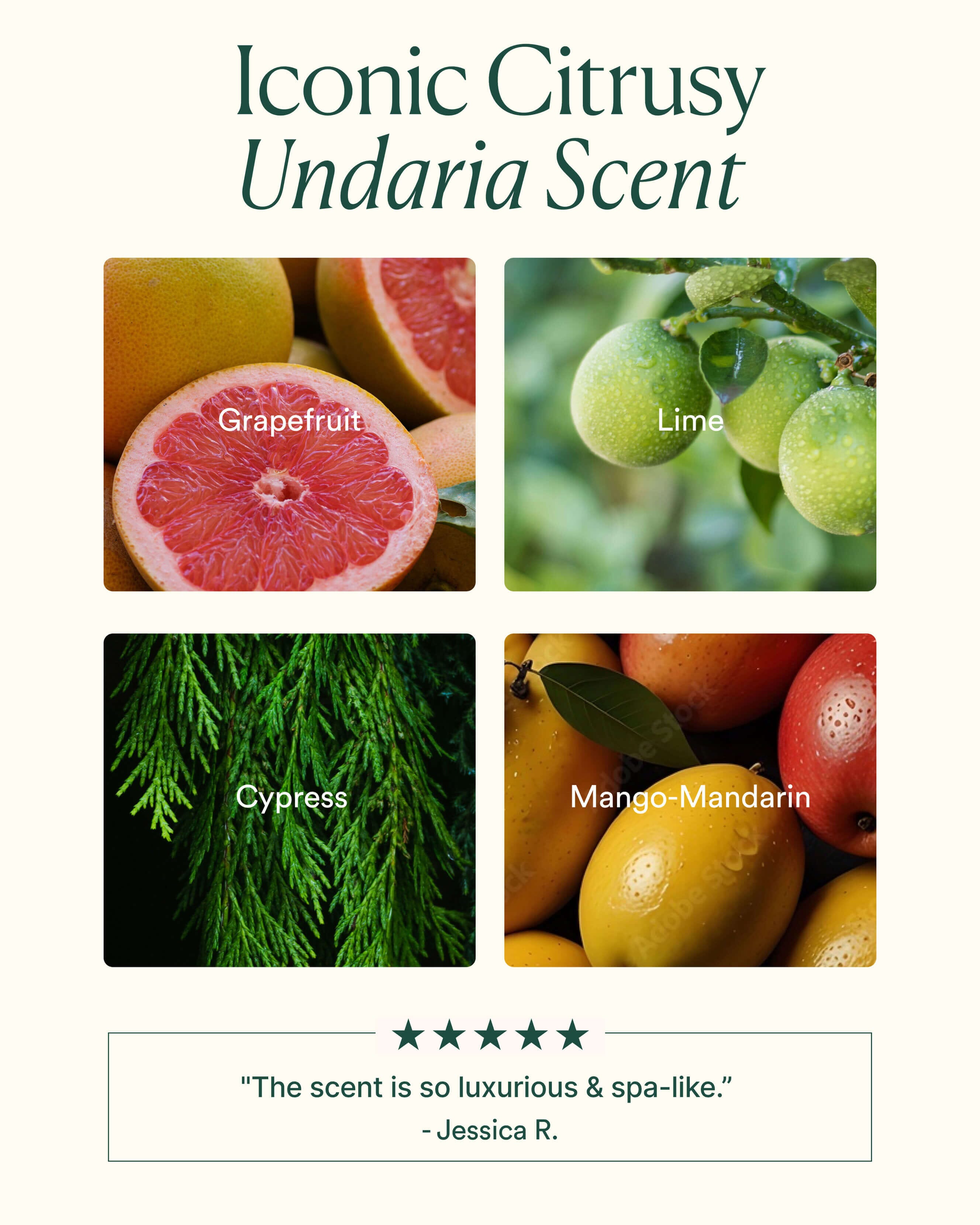 Undaria Algae Body Wash