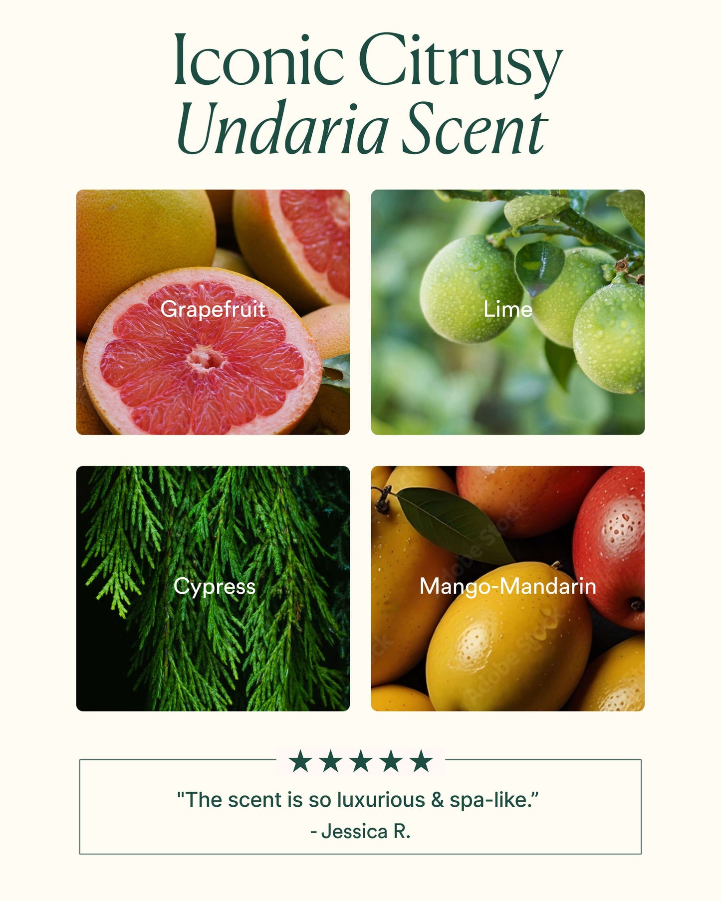 Undaria Algae Body Wash