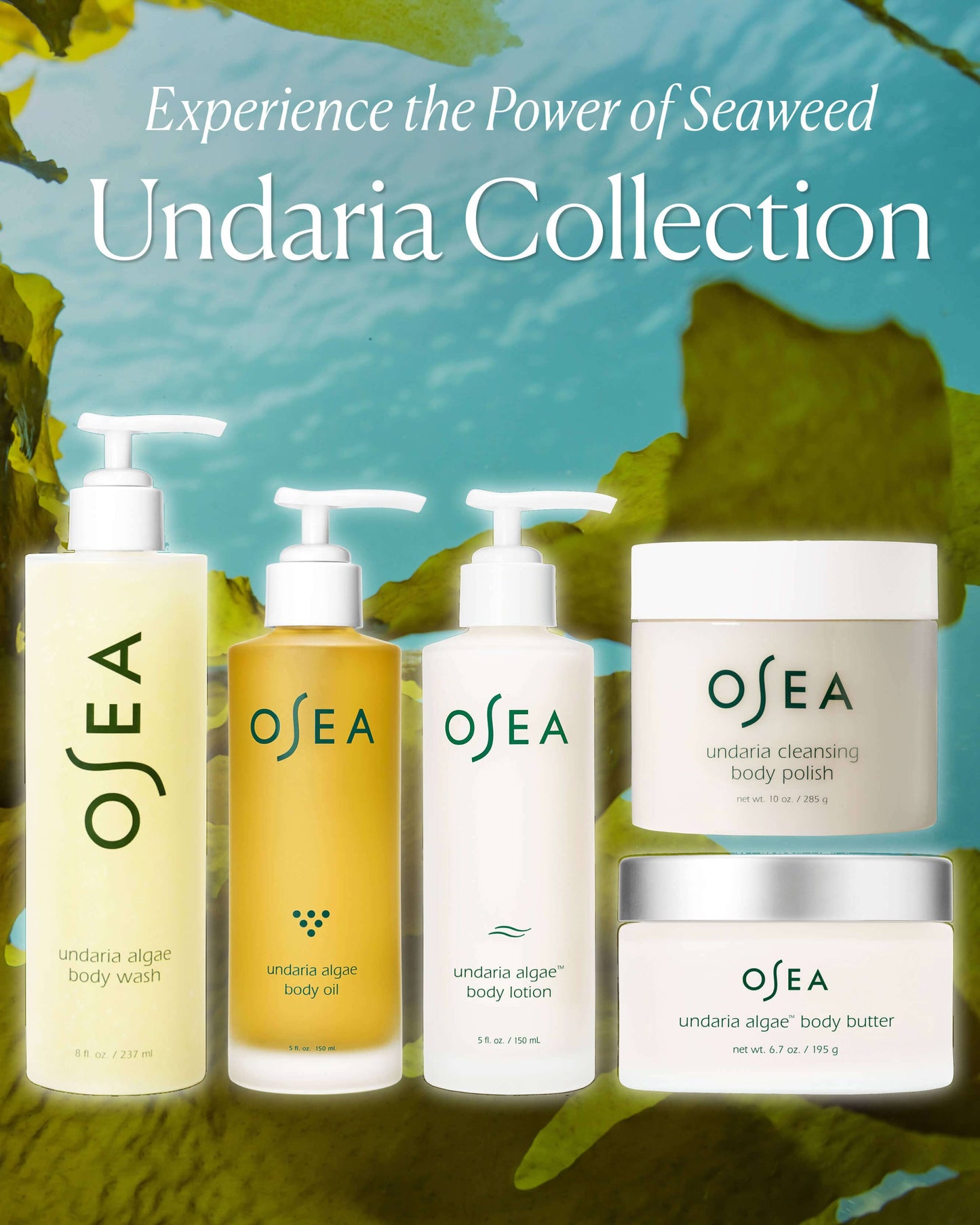 Undaria Algae Body Wash