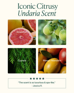 Undaria Algae Body Lotion