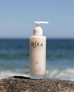 Undaria Algae Body Lotion Fragrance Free