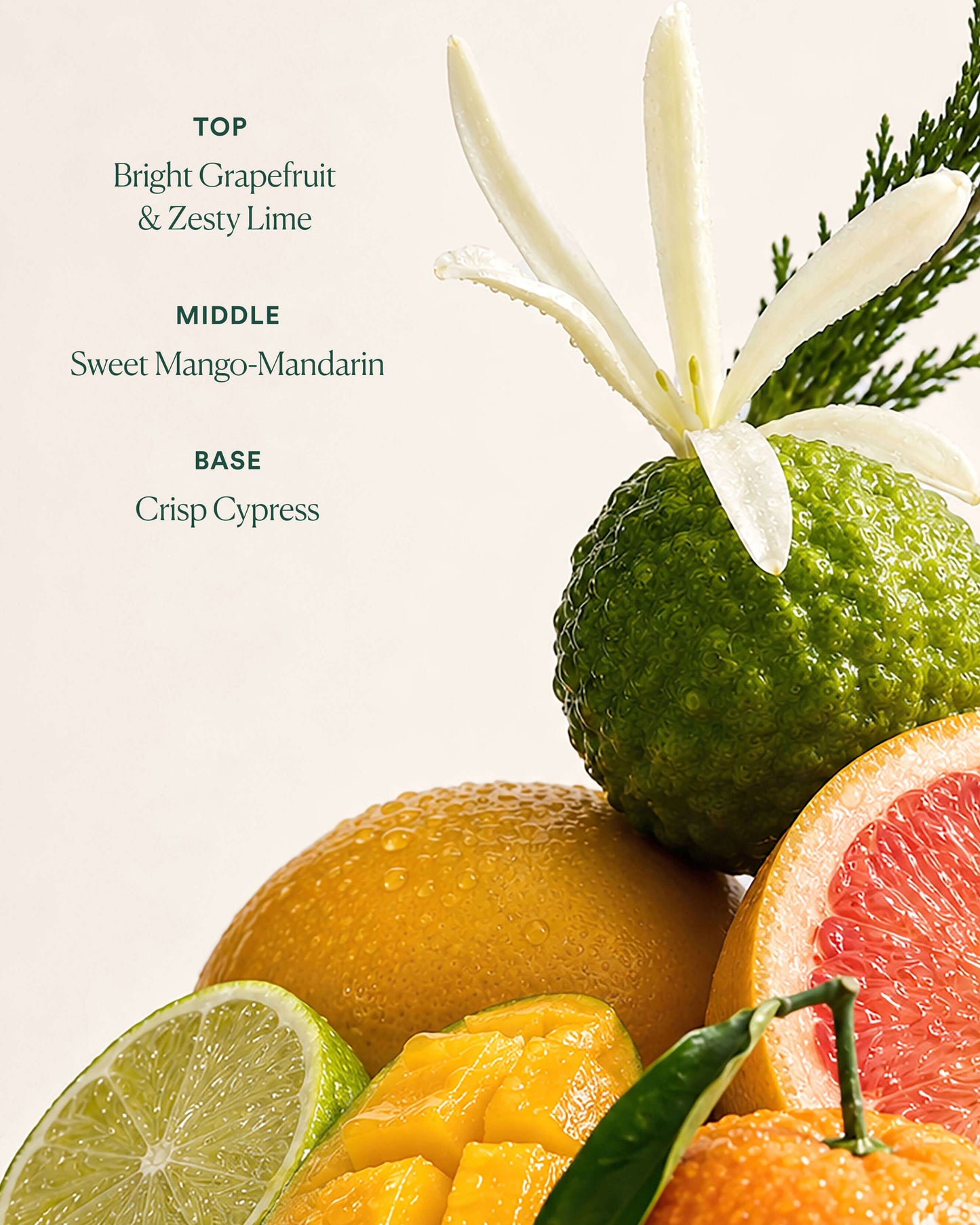 Undaria Uplift Fragrance Mood Oil