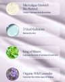 Dream Night Cream