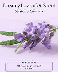 Dream Night Serum with Bio-Retinol