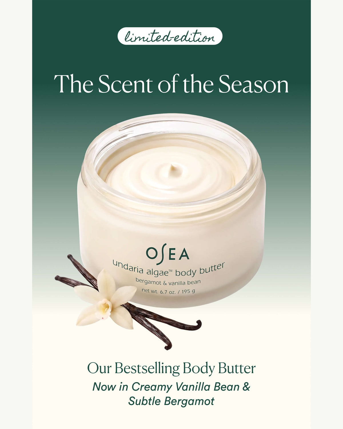 Undaria Algae Body Butter Bergamont & Vanilla