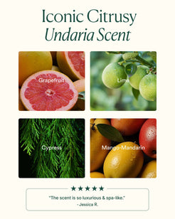 Undaria Algae Body Butter