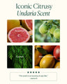 Undaria Algae Body Butter