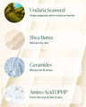 Undaria Algae Body Butter