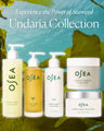 Undaria Algae Body Butter