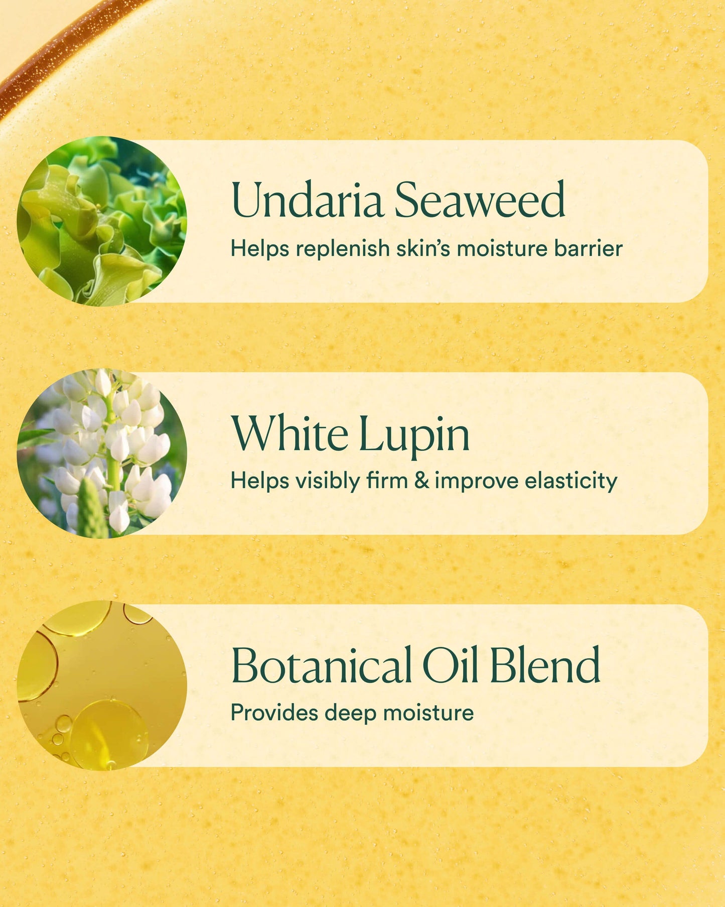 Undaria Algae Body Oil