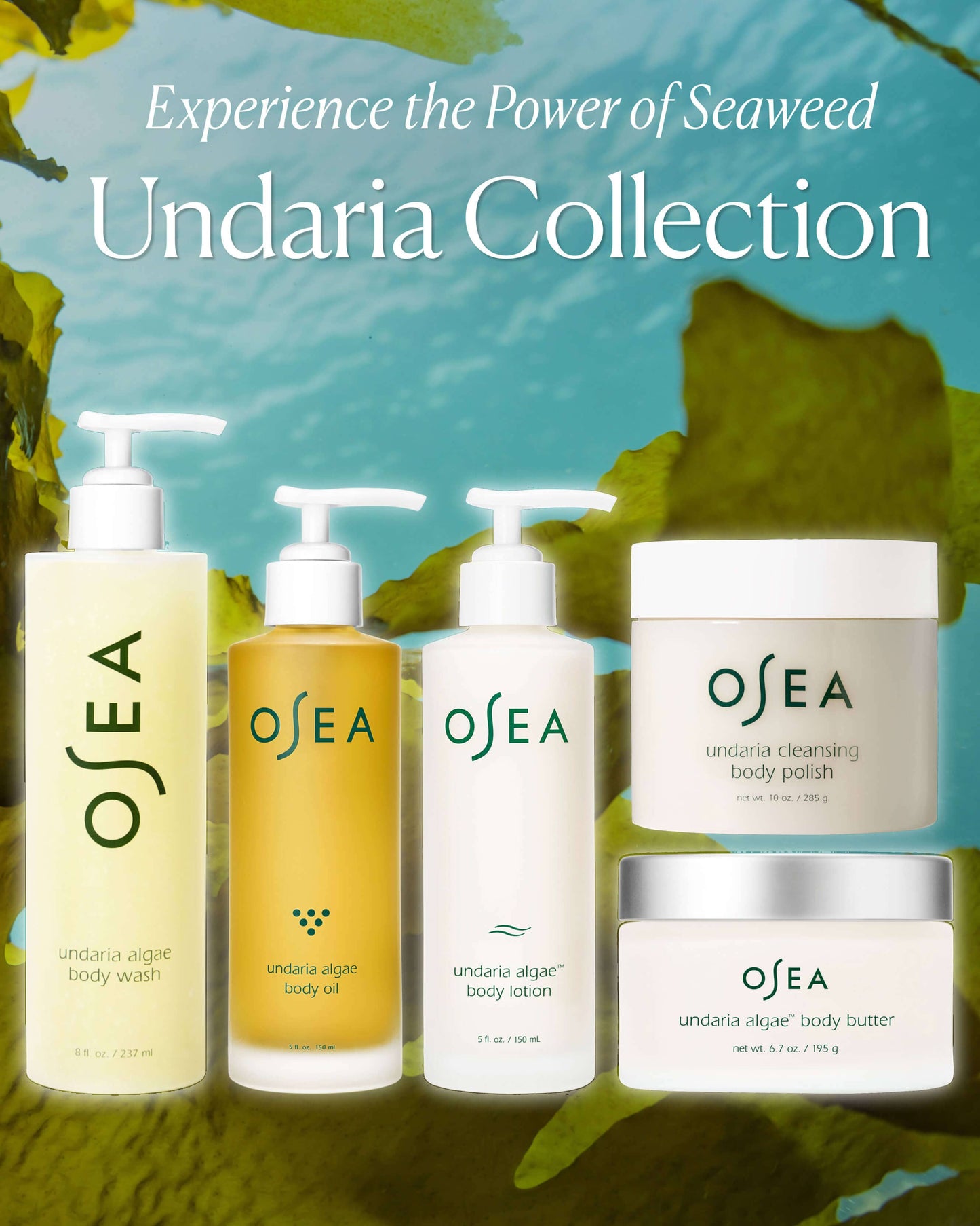 Undaria Algae Body Oil