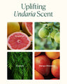 Undaria Body Bestsellers